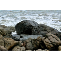 Assorted Rocks